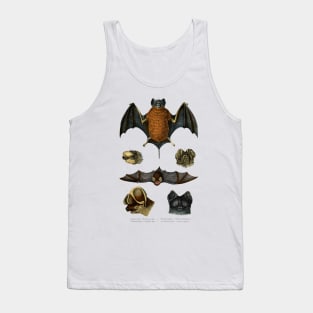 19th C. Bat Species Tank Top